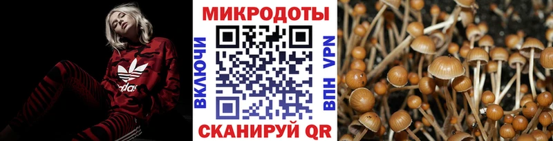 Псилоцибиновые грибы мухоморы  закладка  Тарко-Сале 